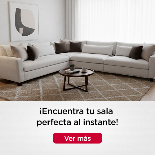 Banner-Salas-Mov-500x500