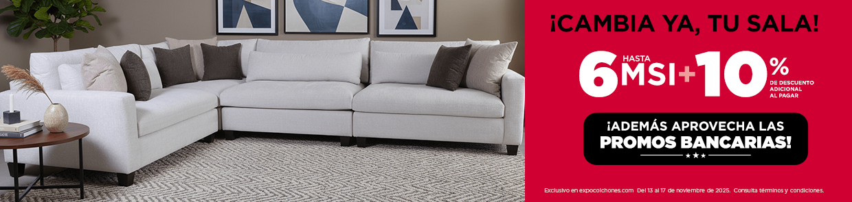 13-17-NOV-Salas-desk