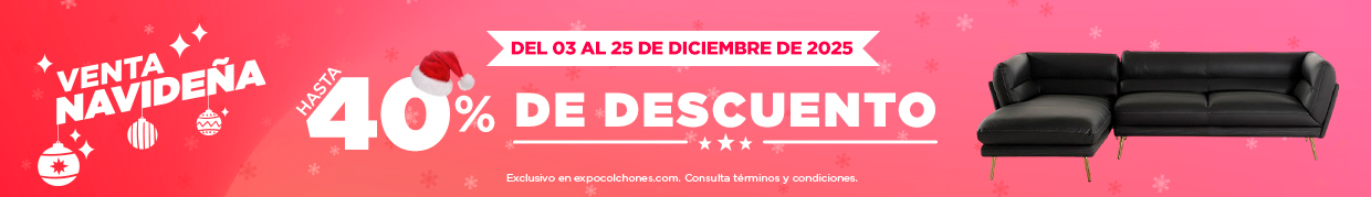 03-25-dic-VN-Cintillo